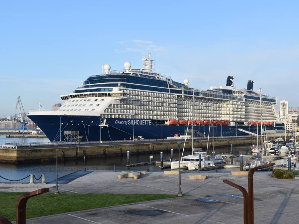 Celebrity Silhouette