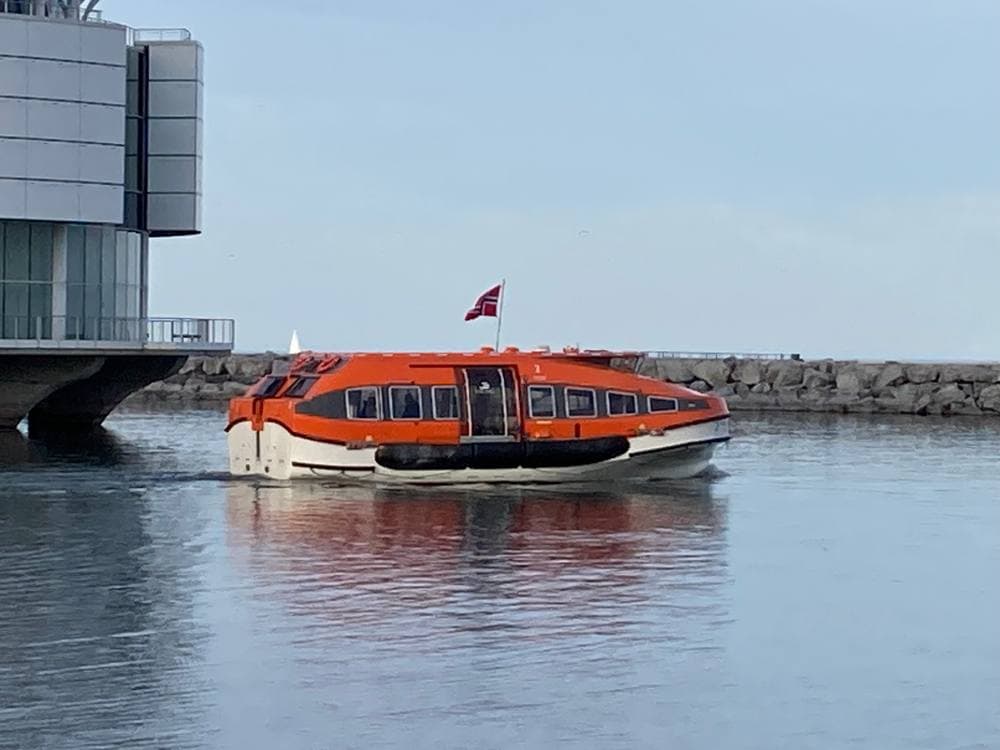 Viking Octantis