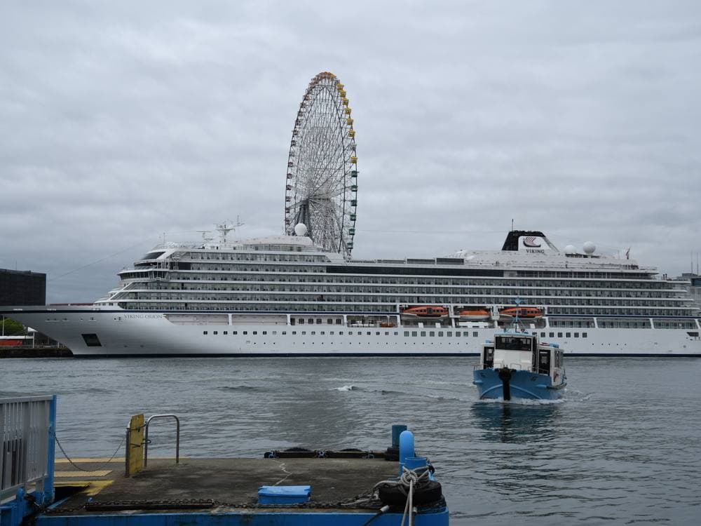 Viking Orion
