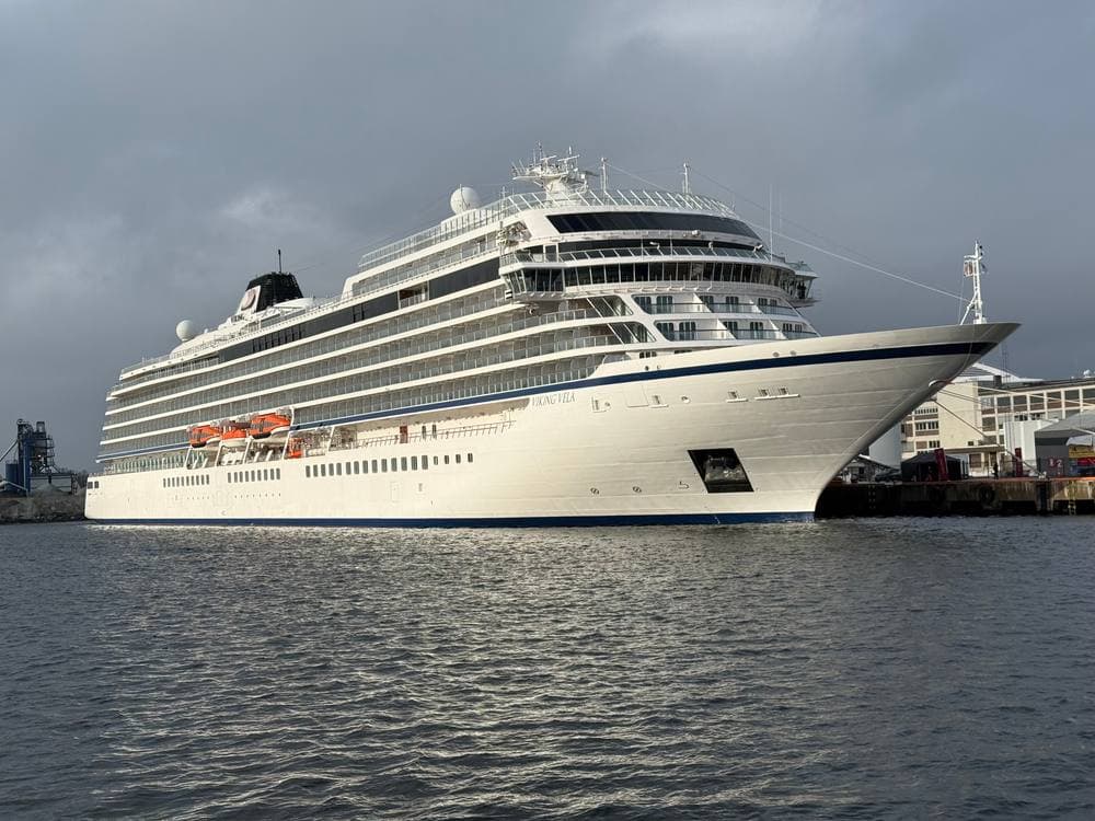 Viking Vela