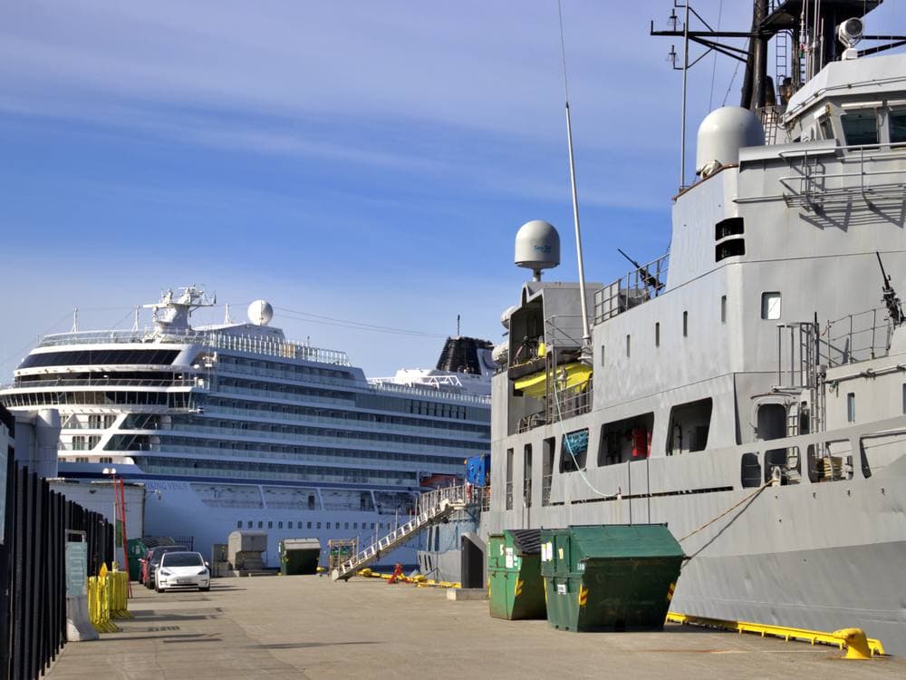 Viking Venus